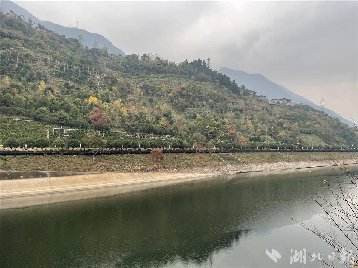 湖北日报兴山最美公路拉升库区幸福指数