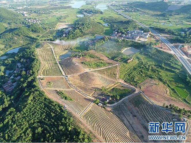 新华网湖北省发布两项水土保持领域地方标准水土保持小流域建设工作有