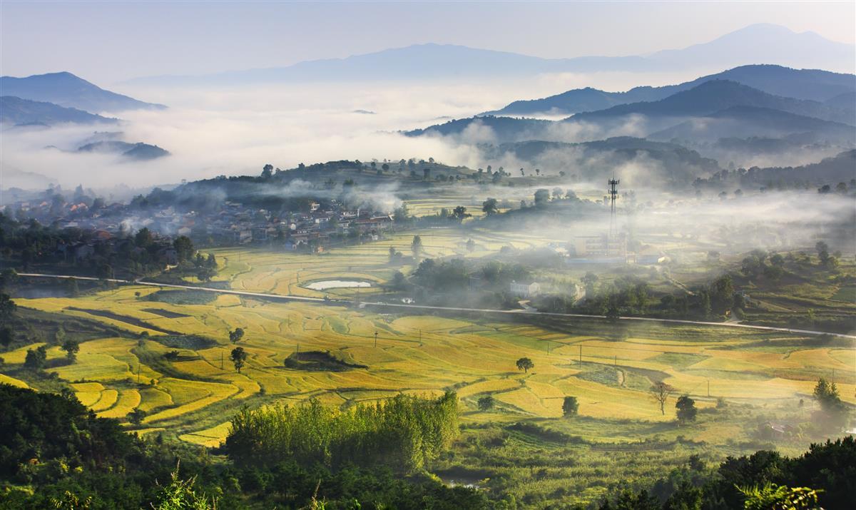 国家水土保持示范县大悟焕发勃勃生机-湖北省水利厅