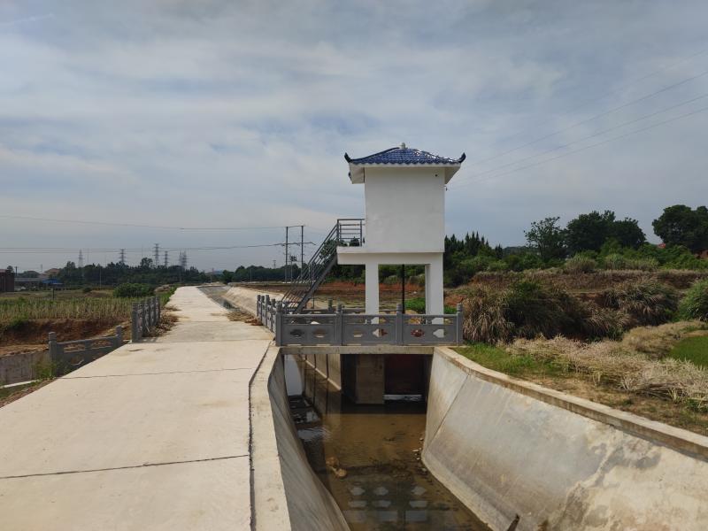 【湖北日报】黄梅县古角水库灌区续建配套与节水改造工程建设正酣